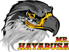 Mr. Hayabusa-Falkenkopf-Logo
